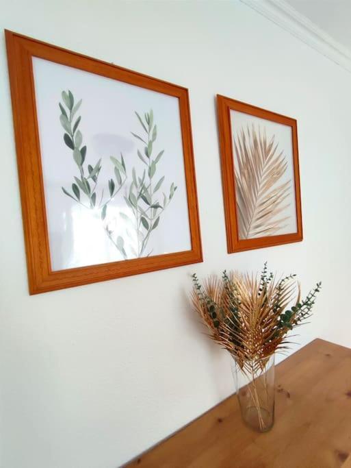 ChoVivienda Con Piscina, Solarium, Vistas Teideアパートメント エクステリア 写真